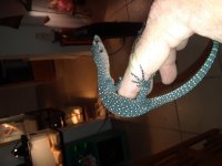 20180602_185337.jpg