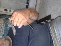 20180602_184334.jpg