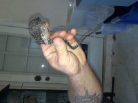20180602_184348.jpg
