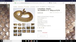 snake purchased on our website to match pattern.jpg