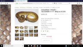 snake purchsed on our website to match pattern.jpg