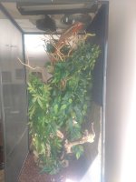 CAGE 1.jpg