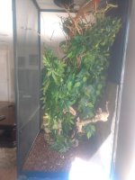 CAGE 2.jpg