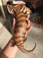 rsz_img_0022.jpg