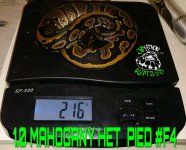 PicsArt_02-05-10.37.58.jpg
