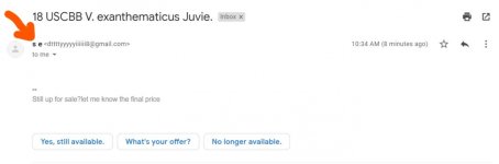 SCAMMER#2_LI.jpg