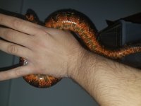 20180407_155115.jpg