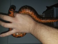 20180407_155038.jpg