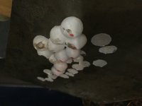 1E868F3D-145D-45A0-9196-9A7ADD9DB6A0.jpg