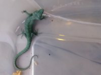 20180603_160819.jpg