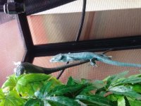 20180603_161133.jpg