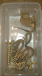 20171103_103832.jpg