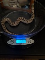 MVIMG_20180429_124546.jpg