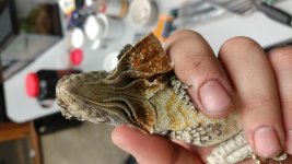 20180329_164326.jpg