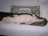 Leachie 5.0.jpg