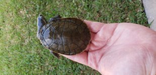 20180501_102145.jpg