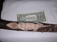 Leachie 4.0.jpg