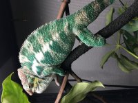 IMG_6638.jpg