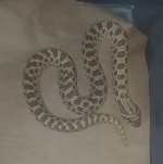 20180225_084636.jpg