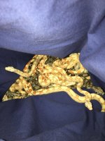 baby snakes.jpg
