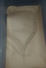 20180225_084431.jpg