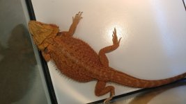 20180308_182218.jpg