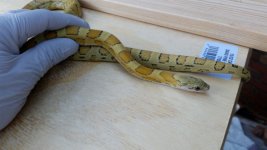 20180520_183612.jpg