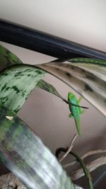 thumbnail_20170706_180059.jpg