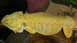20180617_015646.jpg