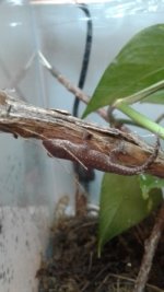 thumbnail_thumbnail_20170915_201315.jpg