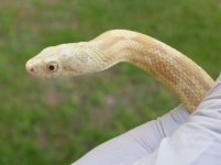 20180520_185021.jpg