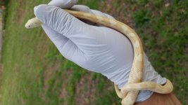 20180520_185128.jpg
