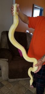 20180314_164638.jpg