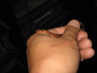 IMG_5644.JPG