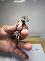 baby#5.jpg