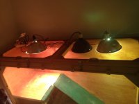 IMG_3378.jpg