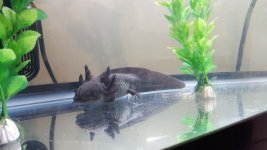 20180314_070505.jpg