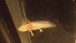 20180301_154309.jpg