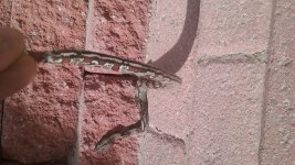 20171203_121018.jpg