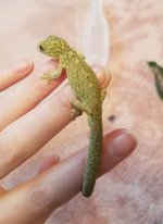 20180317_142956.jpg