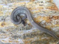 A8637ECF-74E5-4608-BF29-4EA6B75FF2A7.jpg