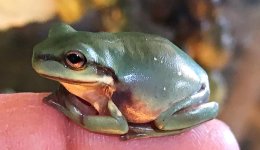 35461870_10211989359229779_7380731728572186624_n.jpg