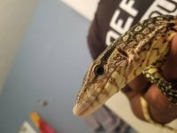 20180208_143358.jpg