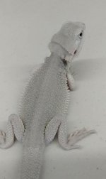 20180618_083031.jpg
