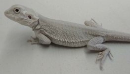 20180618_083058.jpg