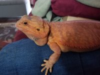 20180130_144831.jpg
