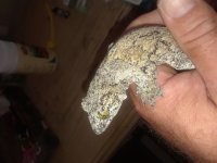 20180410_153927.jpg