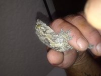 20180410_153941.jpg