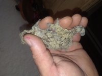 20180410_153937.jpg