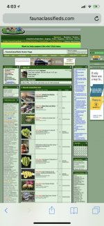 28E10EAF-F2DA-424D-B2EB-8CEE98DADA48.jpg